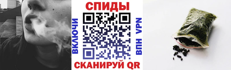 купить  сайты  Удачный  Бутират буратино 