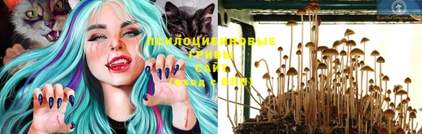мяу мяу мука Алексин