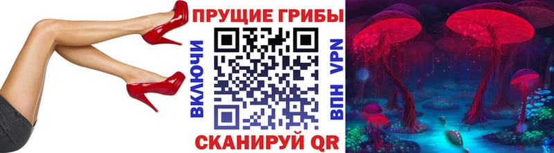 купить наркотики цена  Удачный  Псилоцибиновые грибы Cubensis 